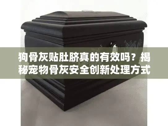 狗骨灰贴肚脐真的有效吗？揭秘宠物骨灰安全创新处理方式