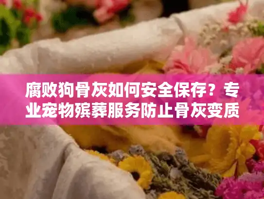 腐败狗骨灰如何安全保存？专业宠物殡葬服务防止骨灰变质指南
