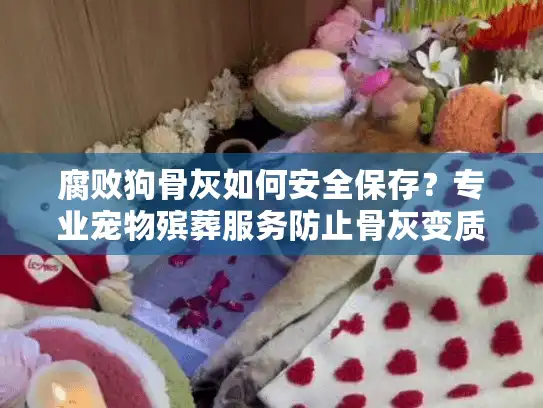 腐败狗骨灰如何安全保存？专业宠物殡葬服务防止骨灰变质指南