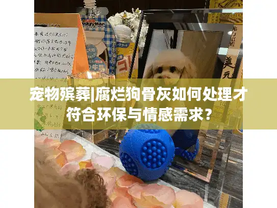 宠物殡葬|腐烂狗骨灰如何处理才符合环保与情感需求？
