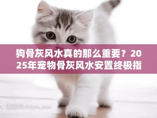 狗骨灰风水真的那么重要？2025年宠物骨灰风水安置终极指南