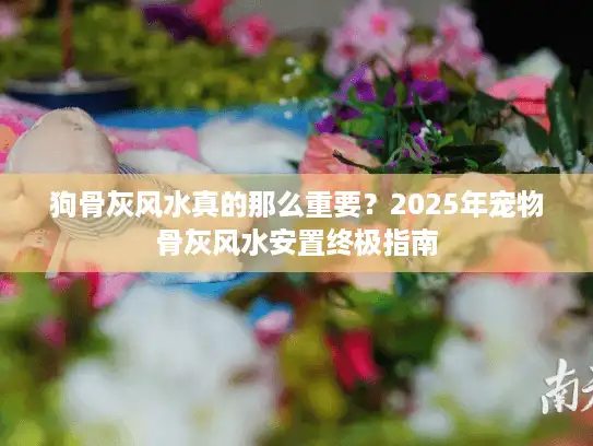 狗骨灰风水真的那么重要？2025年宠物骨灰风水安置终极指南