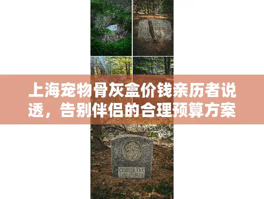 上海宠物骨灰盒价钱亲历者说透，告别伴侣的合理预算方案