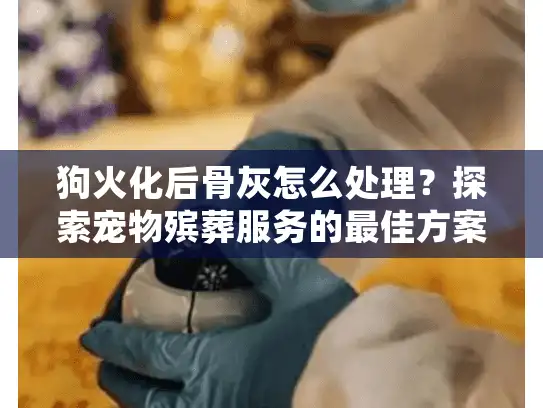 狗火化后骨灰怎么处理？探索宠物殡葬服务的最佳方案