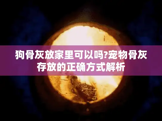 狗骨灰放家里可以吗?宠物骨灰存放的正确方式解析