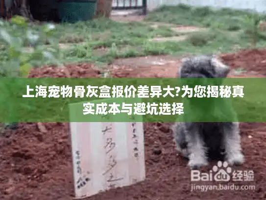 上海宠物骨灰盒报价差异大?为您揭秘真实成本与避坑选择