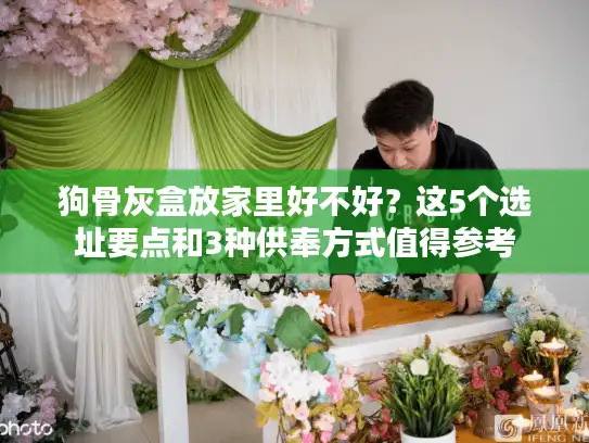 狗骨灰盒放家里好不好？这5个选址要点和3种供奉方式值得参考