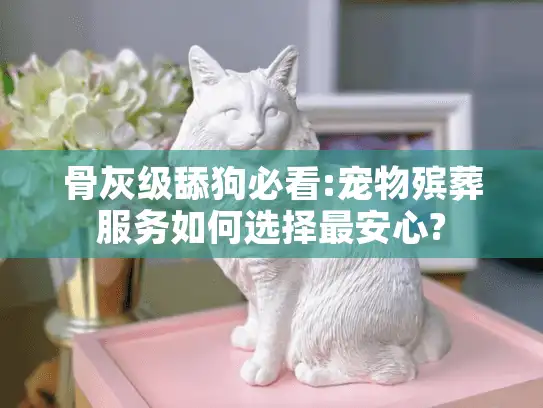 骨灰级舔狗必看:宠物殡葬服务如何选择最安心?
