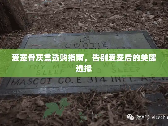 爱宠骨灰盒选购指南，告别爱宠后的关键选择