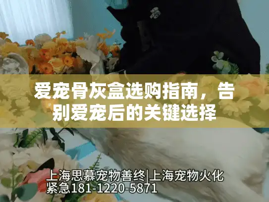爱宠骨灰盒选购指南，告别爱宠后的关键选择