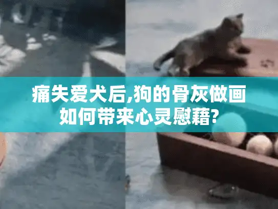 痛失爱犬后,狗的骨灰做画如何带来心灵慰藉?
