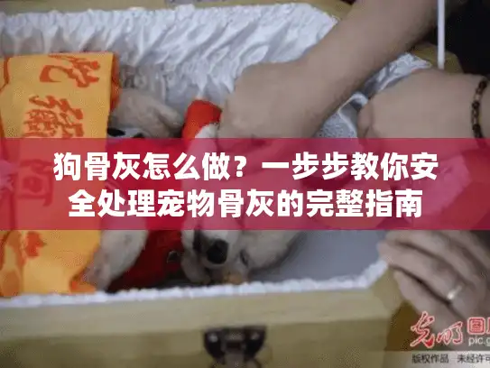 狗骨灰怎么做？一步步教你安全处理宠物骨灰的完整指南
