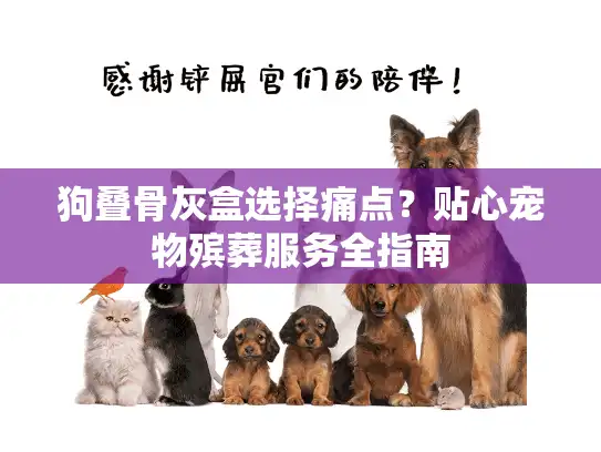 狗叠骨灰盒选择痛点？贴心宠物殡葬服务全指南