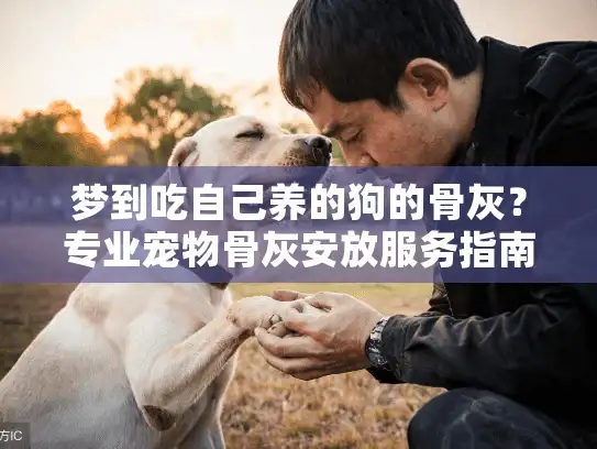 梦到吃自己养的狗的骨灰？专业宠物骨灰安放服务指南