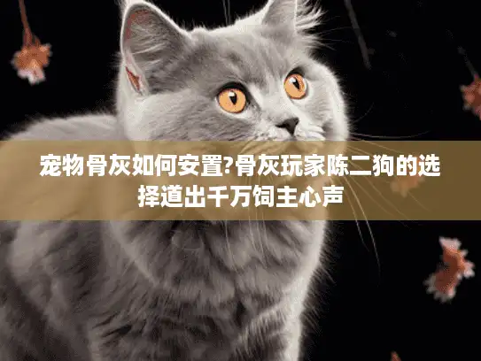 宠物骨灰如何安置?骨灰玩家陈二狗的选择道出千万饲主心声