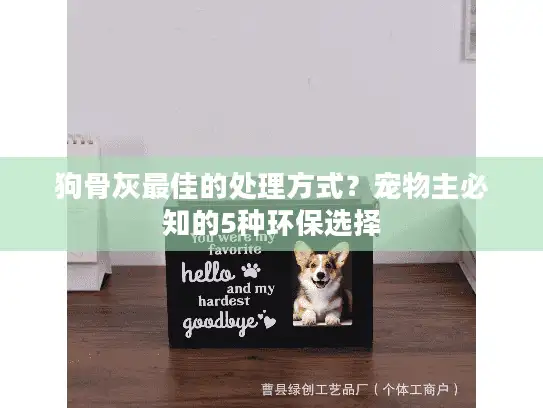 狗骨灰最佳的处理方式？宠物主必知的5种环保选择