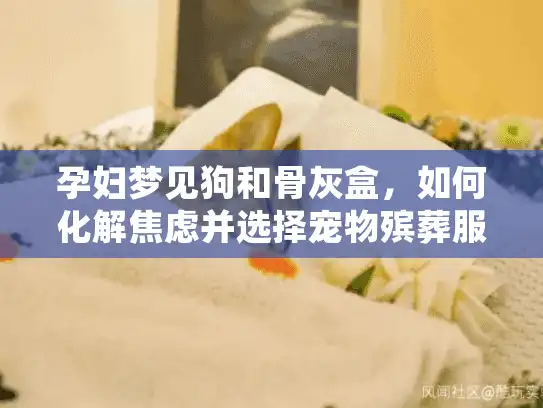 孕妇梦见狗和骨灰盒，如何化解焦虑并选择宠物殡葬服务