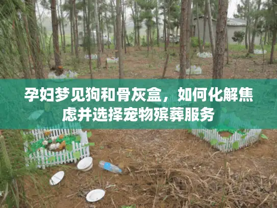 孕妇梦见狗和骨灰盒，如何化解焦虑并选择宠物殡葬服务