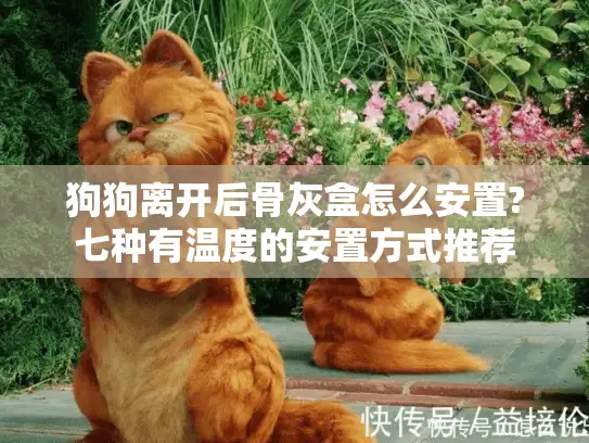 狗狗离开后骨灰盒怎么安置?七种有温度的安置方式推荐