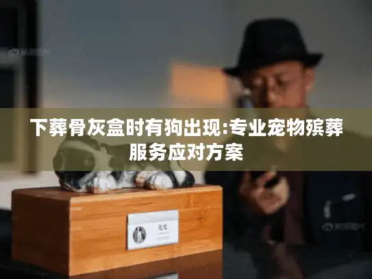 下葬骨灰盒时有狗出现:专业宠物殡葬服务应对方案