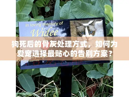 狗死后的骨灰处理方式，如何为爱宠选择最贴心的告别方案？