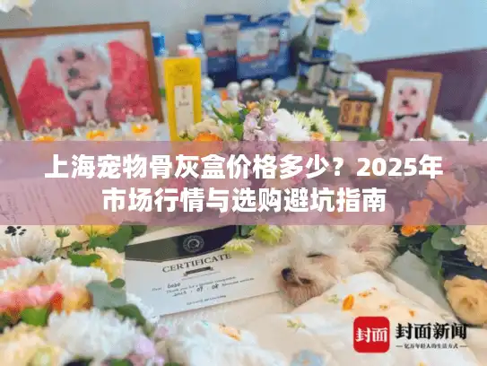 上海宠物骨灰盒价格多少？2025年市场行情与选购避坑指南