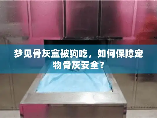 梦见骨灰盒被狗吃，如何保障宠物骨灰安全？