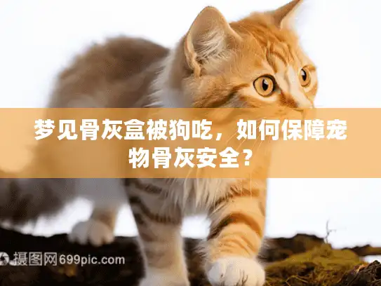 梦见骨灰盒被狗吃，如何保障宠物骨灰安全？