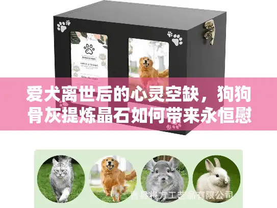 爱犬离世后的心灵空缺，狗狗骨灰提炼晶石如何带来永恒慰藉