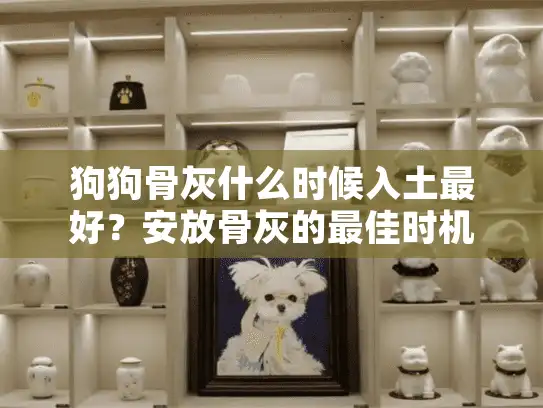 狗狗骨灰什么时候入土最好？安放骨灰的最佳时机指南