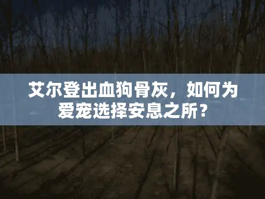 艾尔登出血狗骨灰，如何为爱宠选择安息之所？
