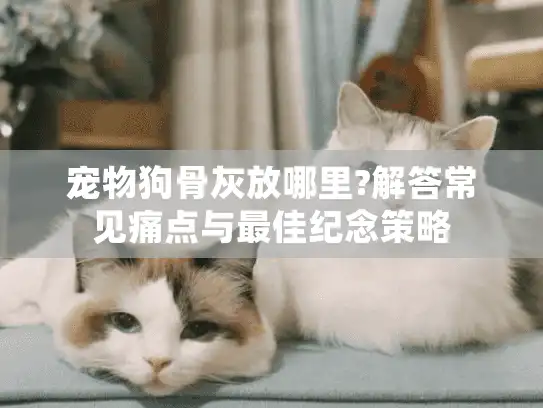 宠物狗骨灰放哪里?解答常见痛点与最佳纪念策略