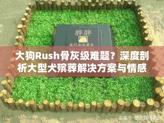 大狗Rush骨灰级难题？深度剖析大型犬殡葬解决方案与情感关怀