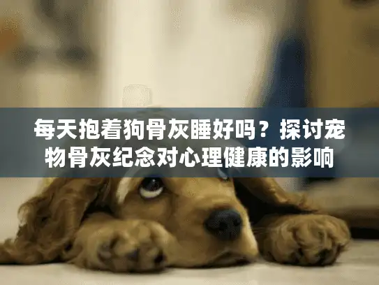 每天抱着狗骨灰睡好吗？探讨宠物骨灰纪念对心理健康的影响