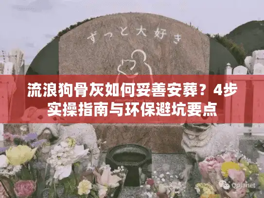 流浪狗骨灰如何妥善安葬？4步实操指南与环保避坑要点