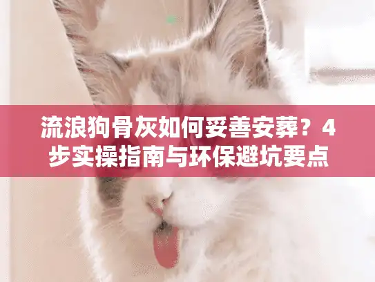 流浪狗骨灰如何妥善安葬？4步实操指南与环保避坑要点