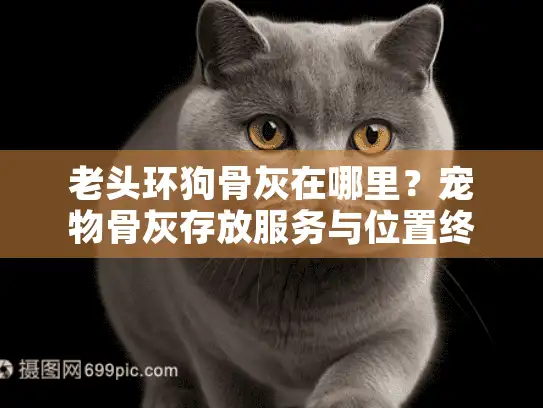 老头环狗骨灰在哪里？宠物骨灰存放服务与位置终极指南