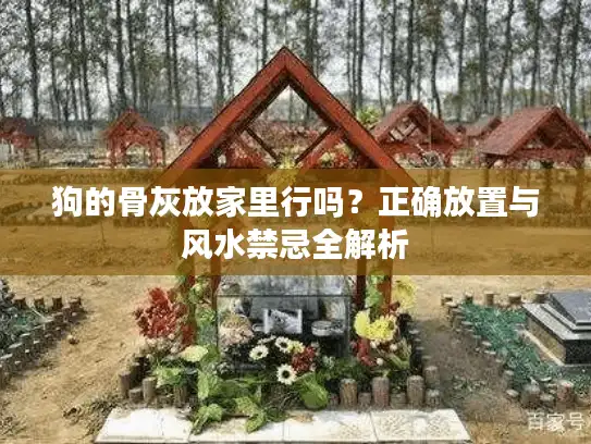 狗的骨灰放家里行吗？正确放置与风水禁忌全解析