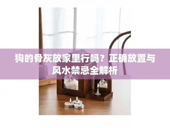 狗的骨灰放家里行吗？正确放置与风水禁忌全解析