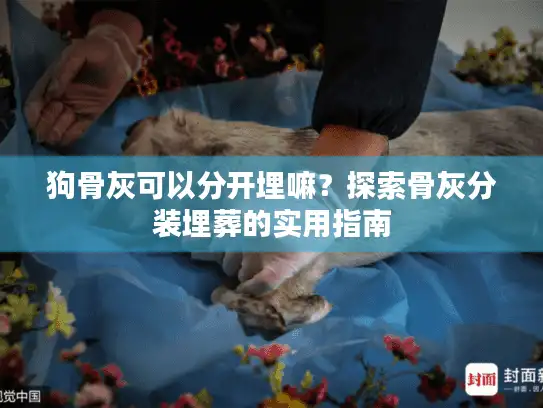 狗骨灰可以分开埋嘛？探索骨灰分装埋葬的实用指南