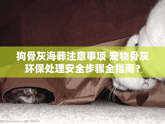 狗骨灰海葬注意事项 宠物骨灰环保处理安全步骤全指南？