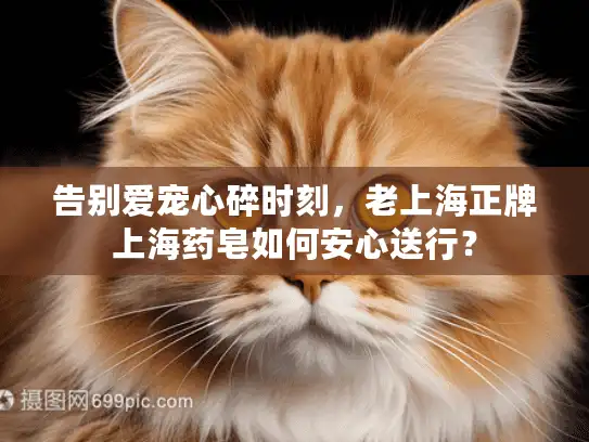 告别爱宠心碎时刻，老上海正牌上海药皂如何安心送行？