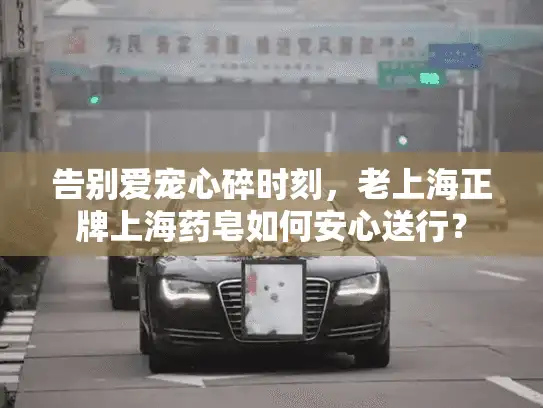 告别爱宠心碎时刻，老上海正牌上海药皂如何安心送行？