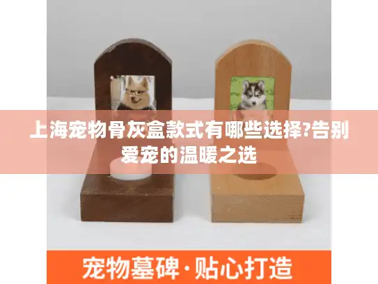 上海宠物骨灰盒款式有哪些选择?告别爱宠的温暖之选