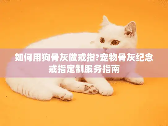 如何用狗骨灰做戒指?宠物骨灰纪念戒指定制服务指南