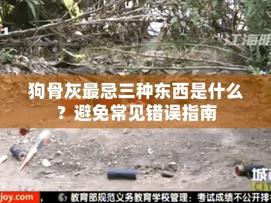 狗骨灰最忌三种东西是什么？避免常见错误指南