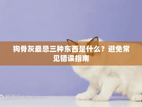 狗骨灰最忌三种东西是什么？避免常见错误指南