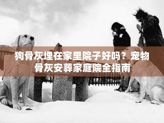 狗骨灰埋在家里院子好吗？宠物骨灰安葬家庭院全指南