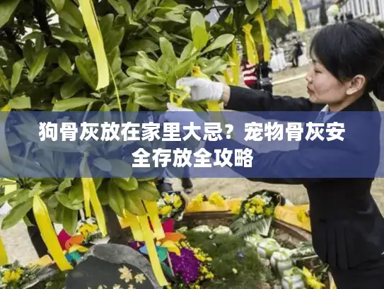 狗骨灰放在家里大忌？宠物骨灰安全存放全攻略