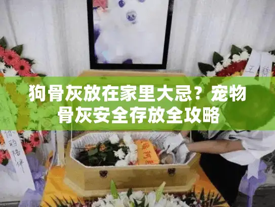 狗骨灰放在家里大忌？宠物骨灰安全存放全攻略